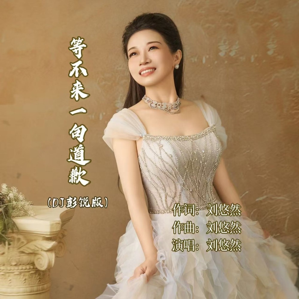 等不来一句道歉（DJ彭锐版） (伴奏)