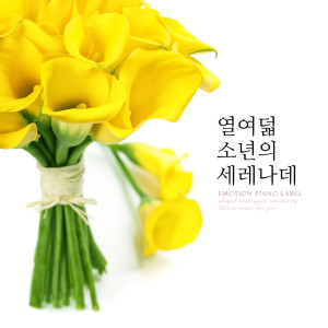 Dengarkan 다시 만난다면 If You Meet Again lagu dari 태양 dengan lirik