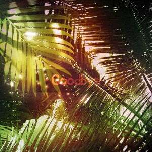 Album Good Bye from 