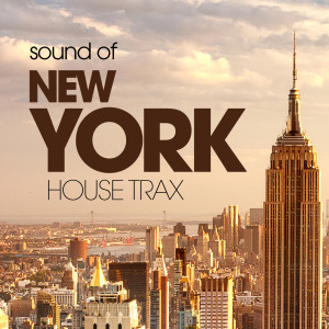 Album Sound Of New York House Trax oleh Manitoo