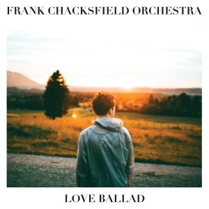 收聽Frank Chacksfield Orchestra的To Wait For Love歌詞歌曲