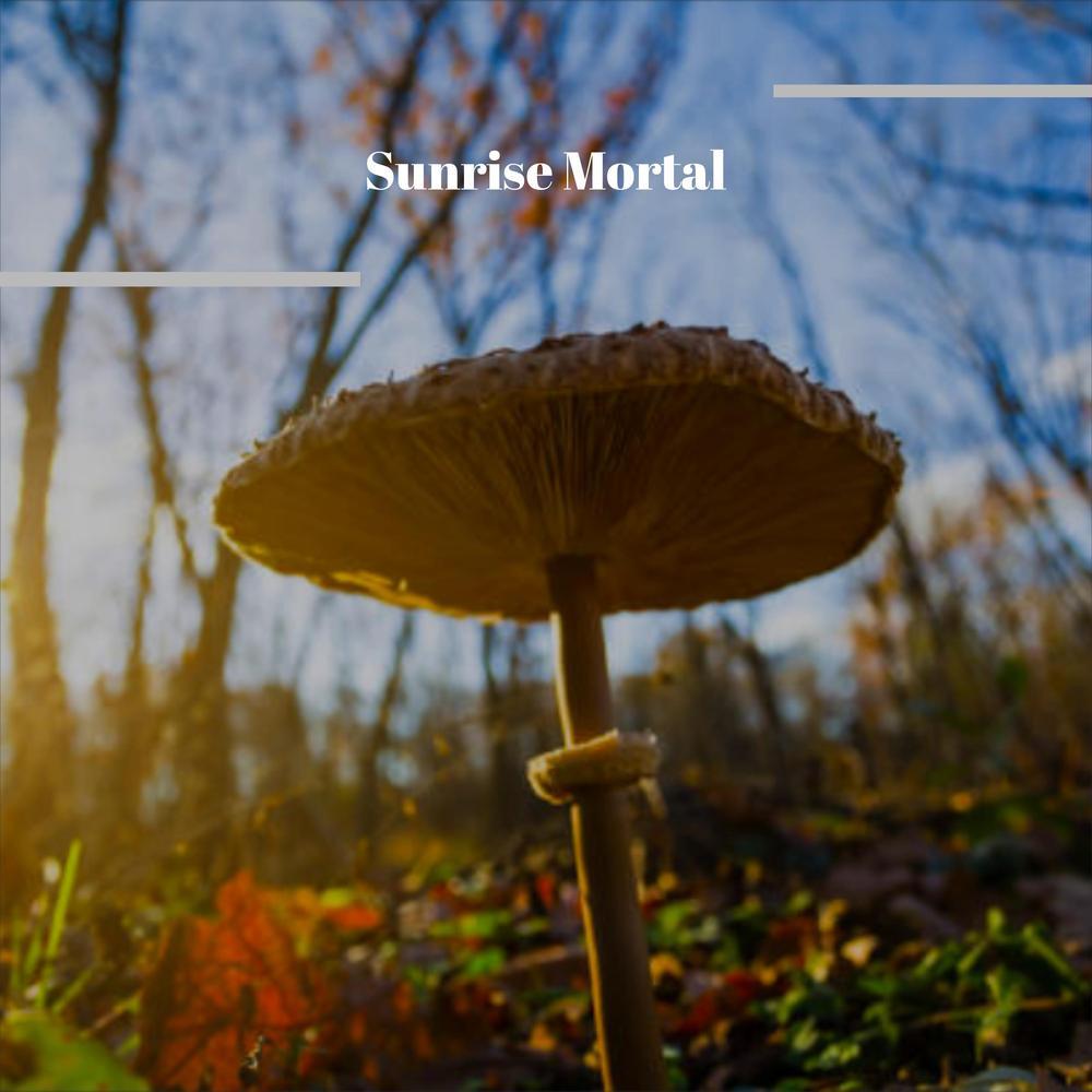 Sunrise Mortal