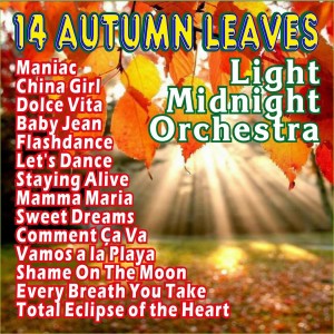 收聽Light Midnight Orchestra的Every Breath You Take歌詞歌曲