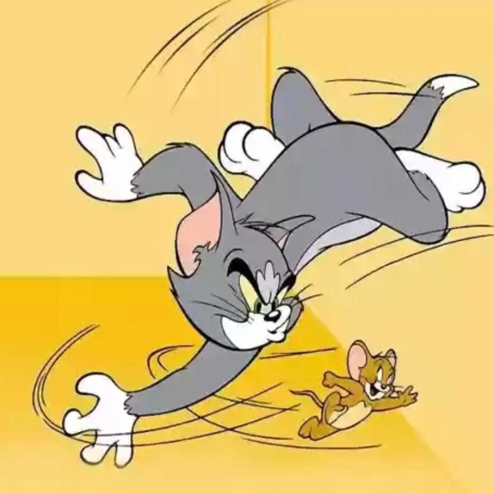 Cat & Mouse (Explicit)
