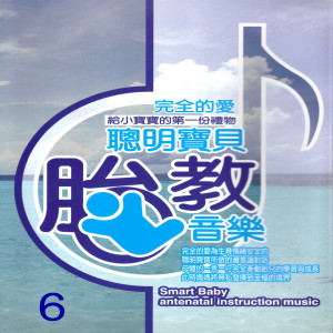 อัลบัม 聰明寶貝胎教音樂 6 ศิลปิน Various Artists