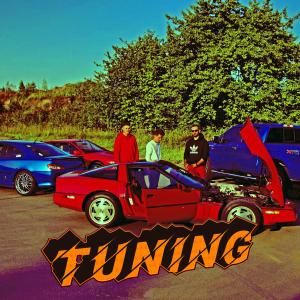 Album TUNING from MALAS