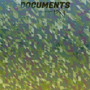 Various Artists的專輯Documents Pattern