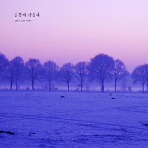 Album Fall Into Sorrow from Daily Piano