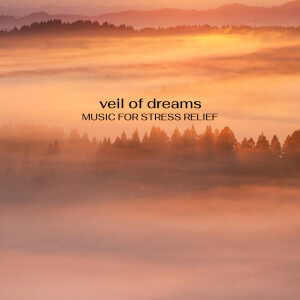 Music For Stress Relief的專輯Veil of Dreams
