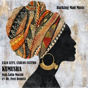 Listen to Kumusha (Original Mix) song with lyrics from Lalo Leyy