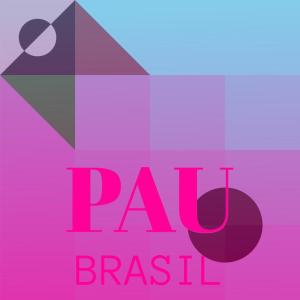 Pau Brasil dari Silvia Natiello-Spiller