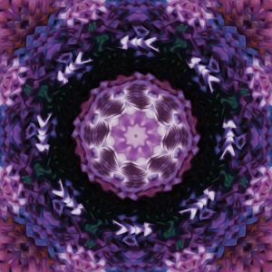 ดาวน์โหลดและฟังเพลง the fox of the show (feat. Noah Gazmen) (Explicit) พร้อมเนื้อเพลงจาก PacMon