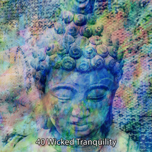 อัลบัม 40 Wicked Tranquility ศิลปิน White Noise Therapy