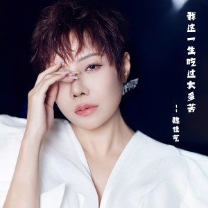 Album 我这一生吃过太多苦（女烟嗓版） from 魏佳艺