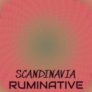 Various的专辑Scandinavia Ruminative