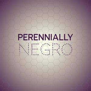 Album Perennially Negro from Various