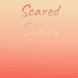 Listen to Misquotation Whether song with lyrics from Tane Maer