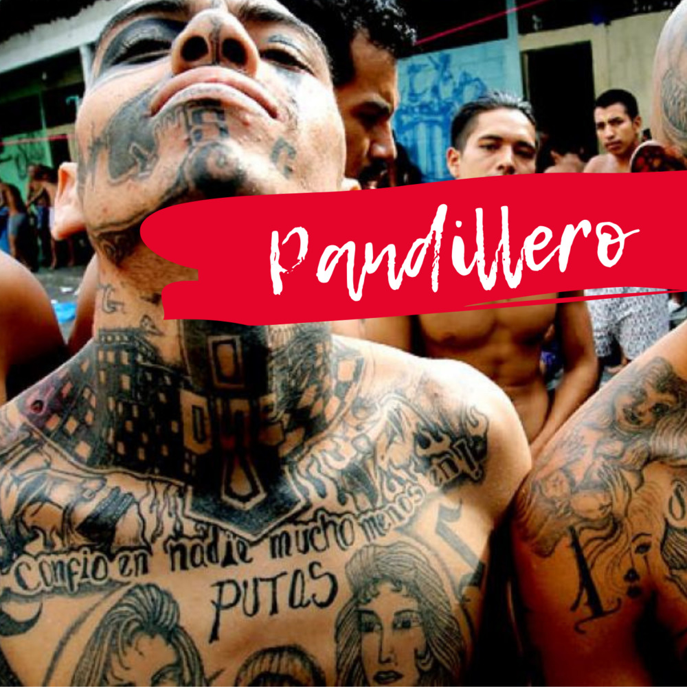 Pandillero