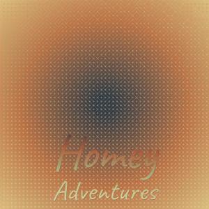 Homey Adventures dari Various