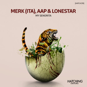 Listen to Leave Your Message song with lyrics from Merk (ITA)