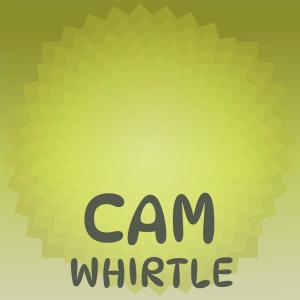 Album Cam Whirtle from Various