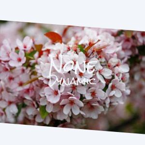 ดาวน์โหลดและฟังเพลง Document Affinity พร้อมเนื้อเพลงจาก Mariley Slan