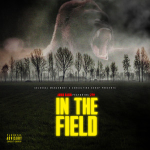 ดาวน์โหลดและฟังเพลง In the Field (Explicit) พร้อมเนื้อเพลงจาก Adroo DaDon