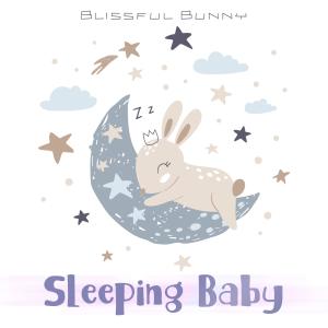 Blissful Bunny的專輯Sleeping Baby