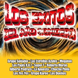 Various Artists的專輯Los Exitos Del Año Sonidero