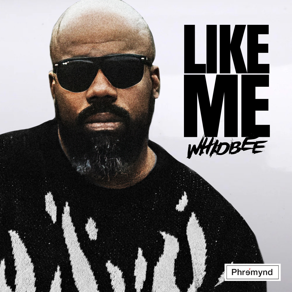 Like Me (Explicit)
