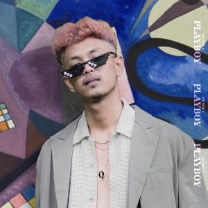 Album I'm Not A Playboy from 