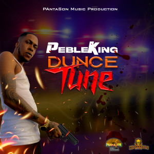 Album Dunce Tune (Explicit) from Pebleking
