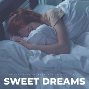 收聽Deep Sleep Music Experience的Don't Wake Me Up歌詞歌曲