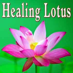 ดาวน์โหลดและฟังเพลง Letting Go and Relaxing พร้อมเนื้อเพลงจาก Meditation Spa Society