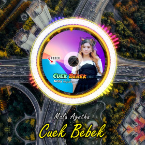 ดาวน์โหลดและฟังเพลง Cuek Bebek (Remix) พร้อมเนื้อเพลงจาก Mala Agatha