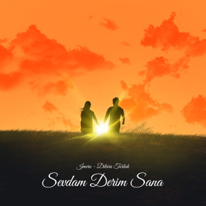 Album SEVDAM DERİM SANA from İmera