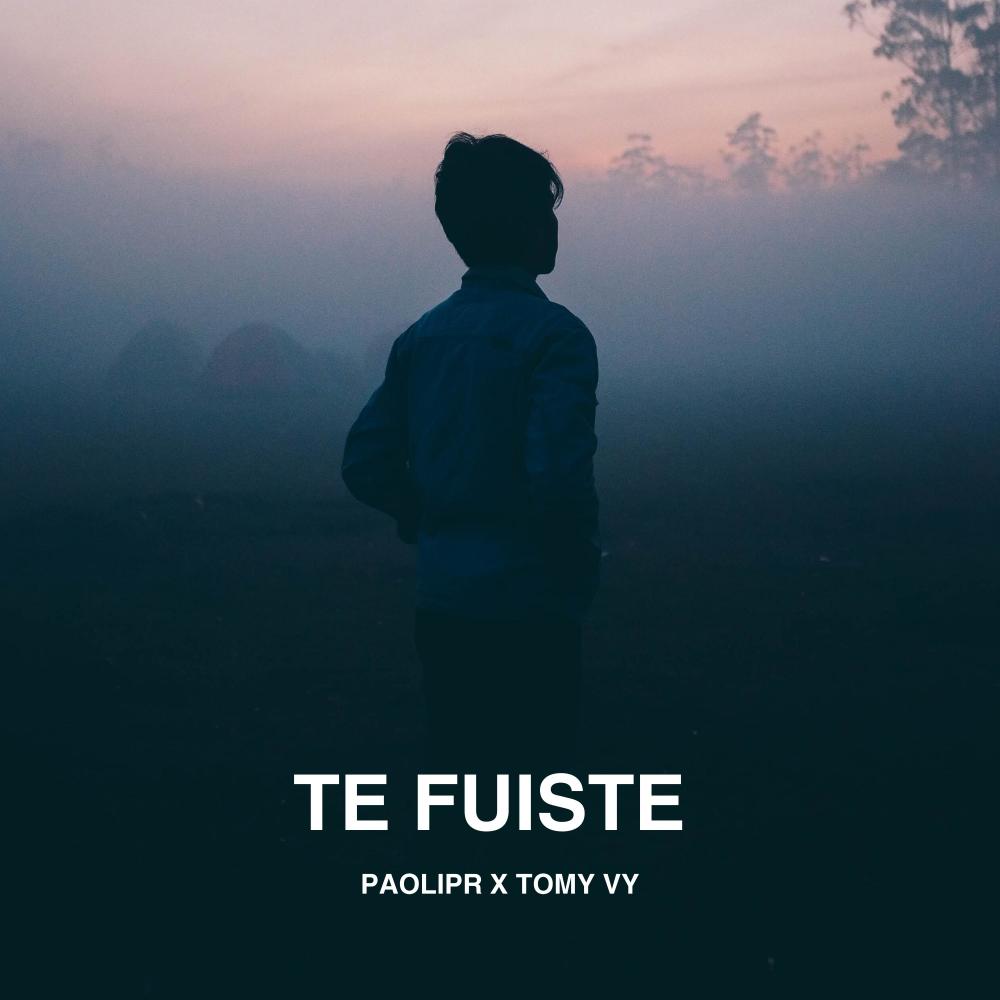 Te Fuiste