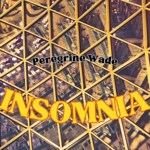 ดาวน์โหลดและฟังเพลง Insomnia (feat. Musiversal) พร้อมเนื้อเพลงจาก Peregrine Wade