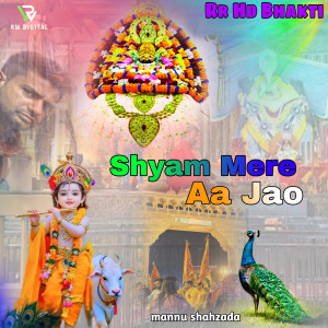 收聽Parveen Naraniya的Shyam Mere Aa Jao歌詞歌曲