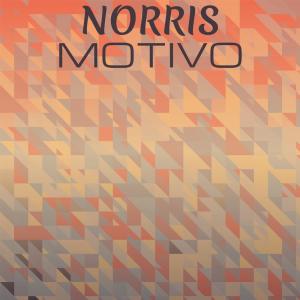 ดาวน์โหลดและฟังเพลง Norris Motivo พร้อมเนื้อเพลงจาก Dardo Alsy