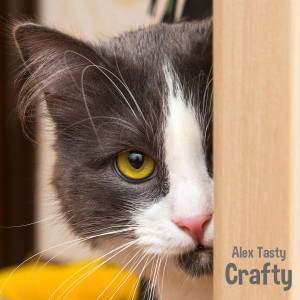 Dengarkan lagu Crafty nyanyian Alex Tasty dengan lirik