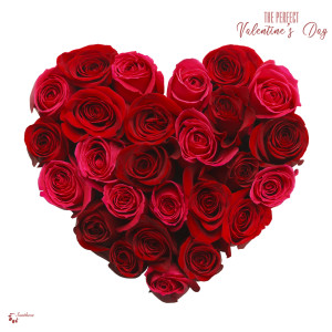 Listen to Anonymous Textures song with lyrics from Baghira