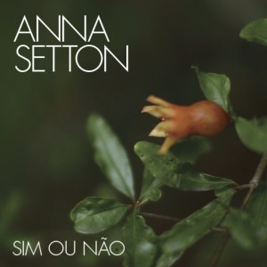 Album Sim ou Não from 