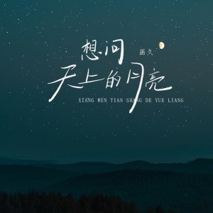 Listen to 想问天上的月亮 (伴奏) song with lyrics from 画久