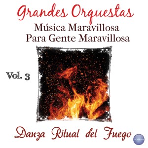 ดาวน์โหลดและฟังเพลง Polovtsian Dances: Fragment พร้อมเนื้อเพลงจาก Orquesta Jean Philippe André