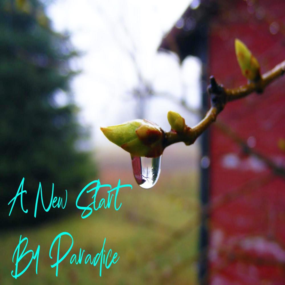 A New Start