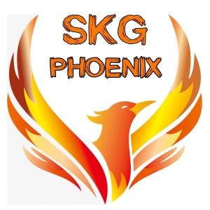 Album Phoenix from Skg