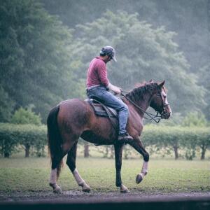 Album I'll Ride (feat. Alvaro Santiago) oleh Eva Whitney