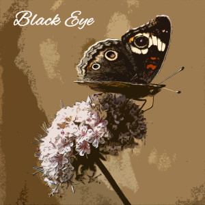 Album Black Eye oleh Johnny Hodges & His Orchestra