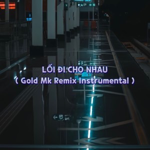 Album LỐI ĐI CHO NHAU (Gold Mk Remix Instrumental) from 